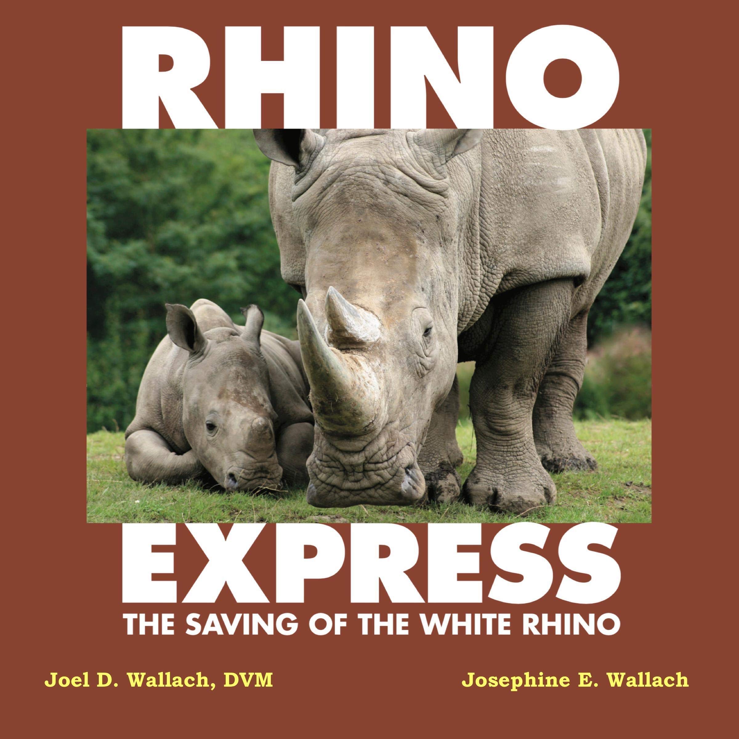 Rhino Express: The Saving of the White Rhino