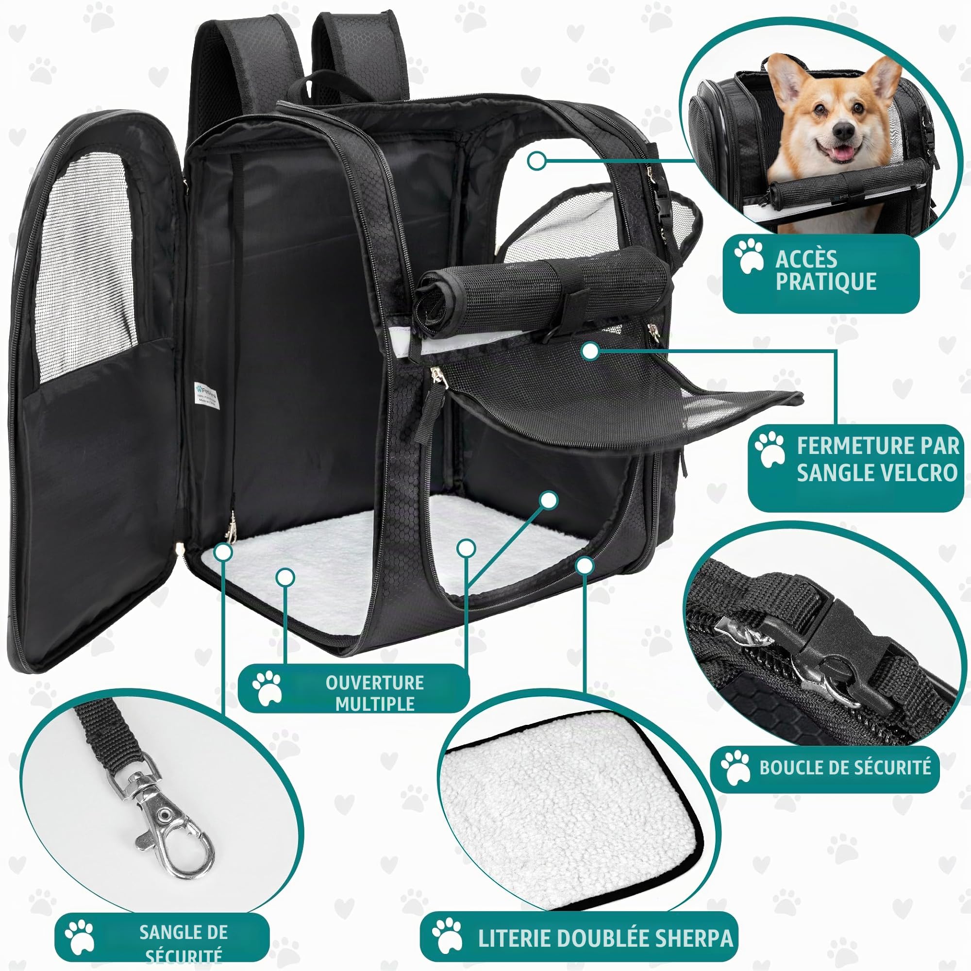 PetAmi Sac à Dos de Transport ventilé pour Petit et Grand Chat, Animal de Compagnie, Chiots, Sac à Dos de randonnée ventilé, approuvé par Les compagnies aériennes, Soutien Dorsal de sécurité, Camping