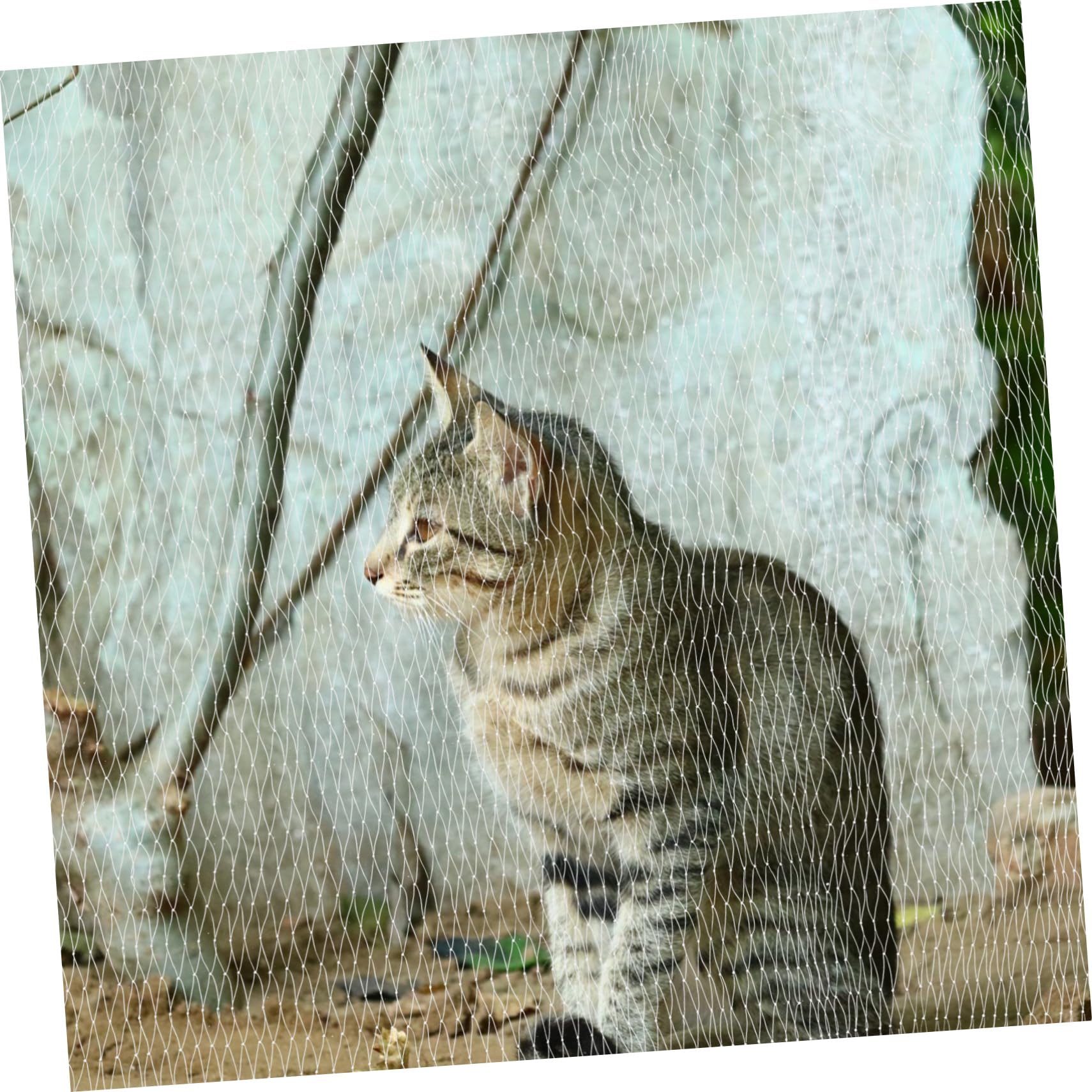 Abaodam Katzenschutznetz für Balkon Fenster Terrasse Dach Schornsteinöffnung und Schrauben ohne Bohren Engmaschig Strapazierfähiges Nylon