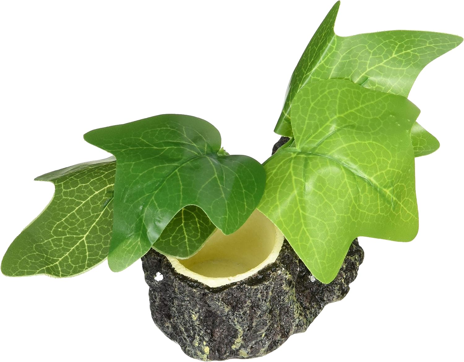 永遠の定番 Sanko オカヤドカリのゼリー皿