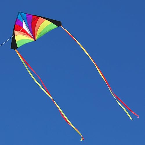 En el viento arco iris Kid 's Delta Kite