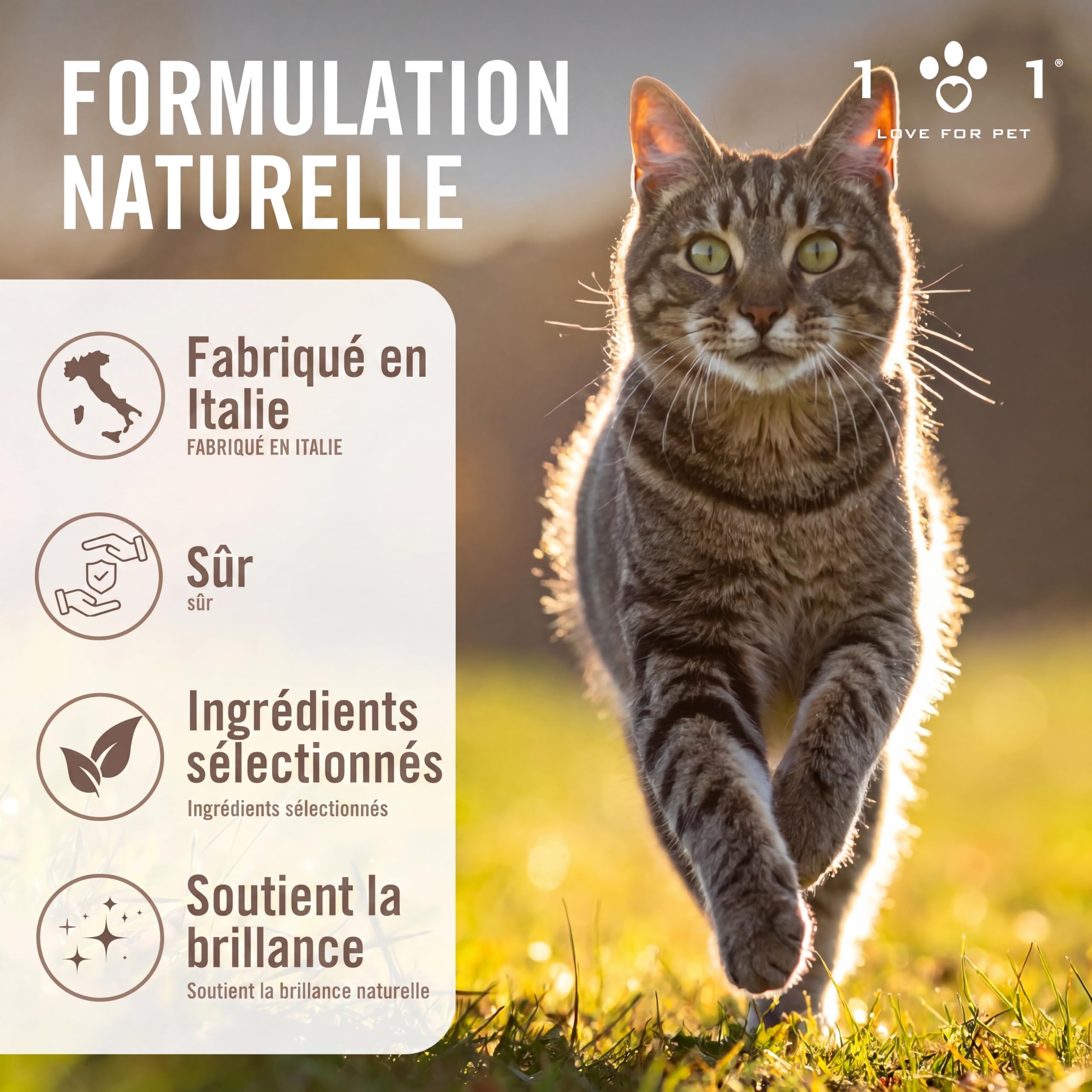 Spray Demelant Poil Chat 100ml Naturel et Végétal sans Rinçage, Spray Demelant Chat Poils Longs et Courts, Déodorant Adoucissant Tous Les Types de Poile Ne Nécessite Pas de Rinçage et Parfume