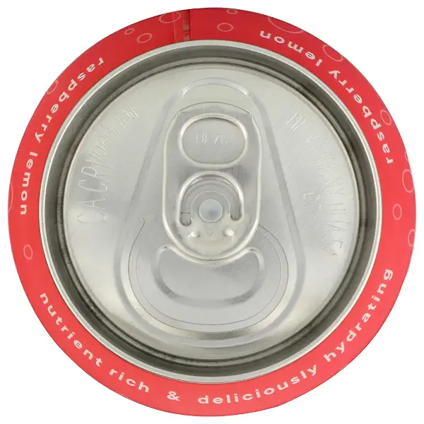 Drink Simple Raspberry Lemon Sparkling Maple Water, 12 FZ 6