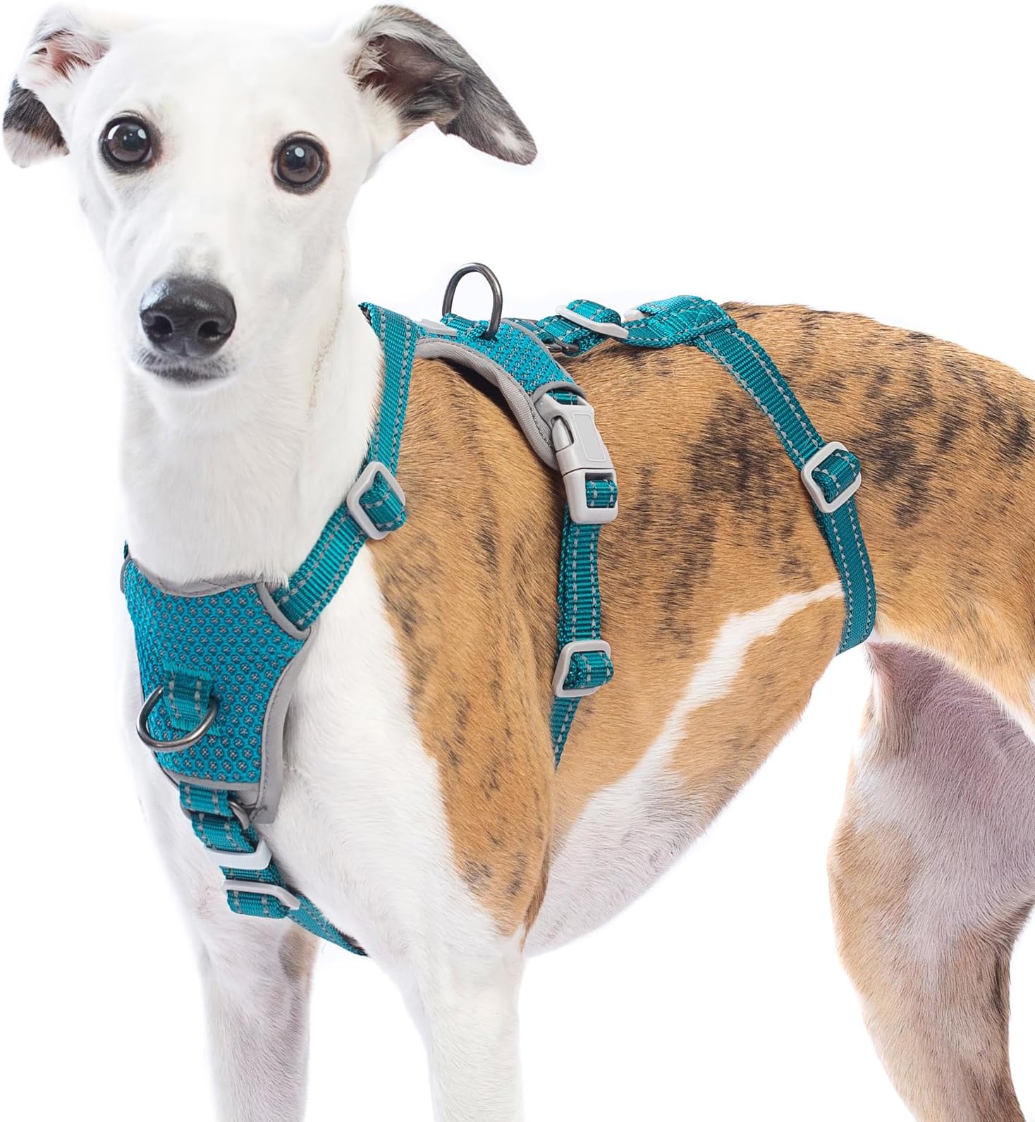 Huntboo Escape Proof Dog Harness – No Pull, No Slip, Fully Reflective, Adjustable 7-Point Design for Small, Medium, and Large Dogs – Lightweight for Outdoor Training & Hiking (Teal, S)
