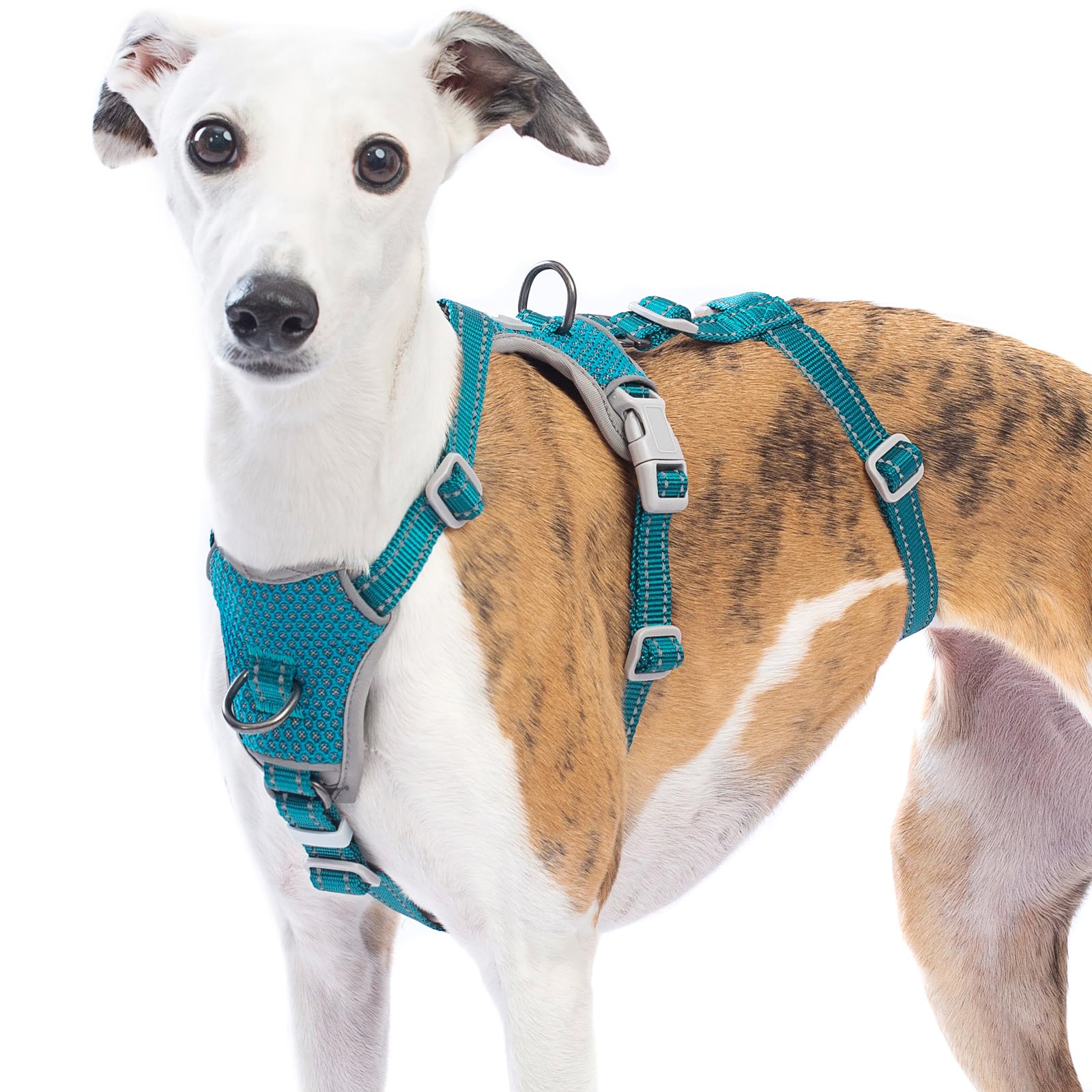 Huntboo Escape Proof Dog Harness – No Pull, No Slip, Fully Reflective, Adjustable 7-Point Design for Small, Medium, and Large Dogs – Lightweight for Outdoor Training & Hiking (Teal, M)