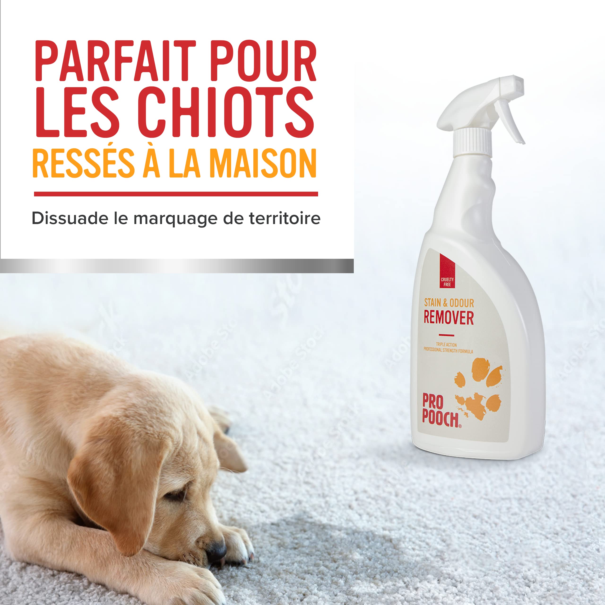 Pro Pooch Destructeur D'odeur Urine Chien et Chat Professionnel - Élimine et Neutralise les Odeurs et Taches D’urine - 1 L