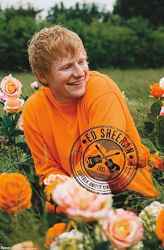 Trends International Ed Sheeran - Póster de pared de campo de rosas, 22.37 x 34.00 pulgadas, versión sin marco