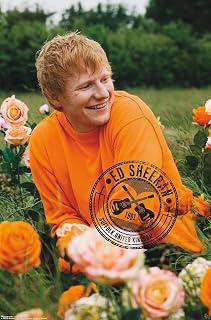 Ed Sheeran Rose Field Wall Poster