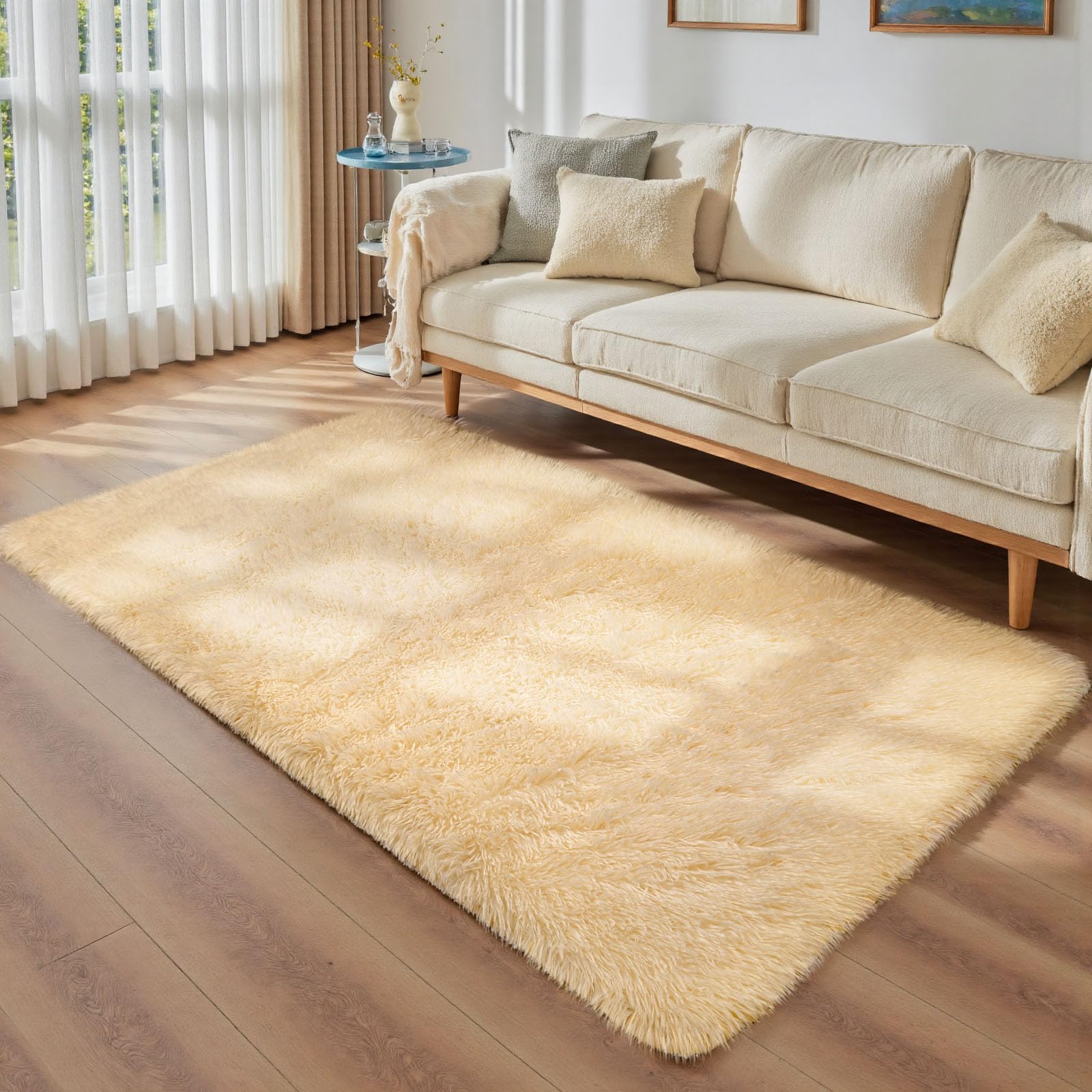 Sour Lemon Tapis de Salon Gris 80x160cm - Lavable, Antidérapant, Moelleux Shaggy pour Chambre à Coucher