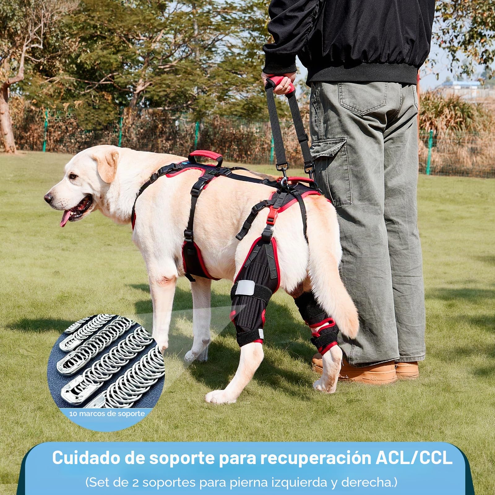 Rodillera para perro con arnés de elevación para patas traseras, juego de 2 – Soporte antideslizante ajustable para perros grandes y mayores, lesión ACL/CCL y ayuda a la movilidad, negro, XL
