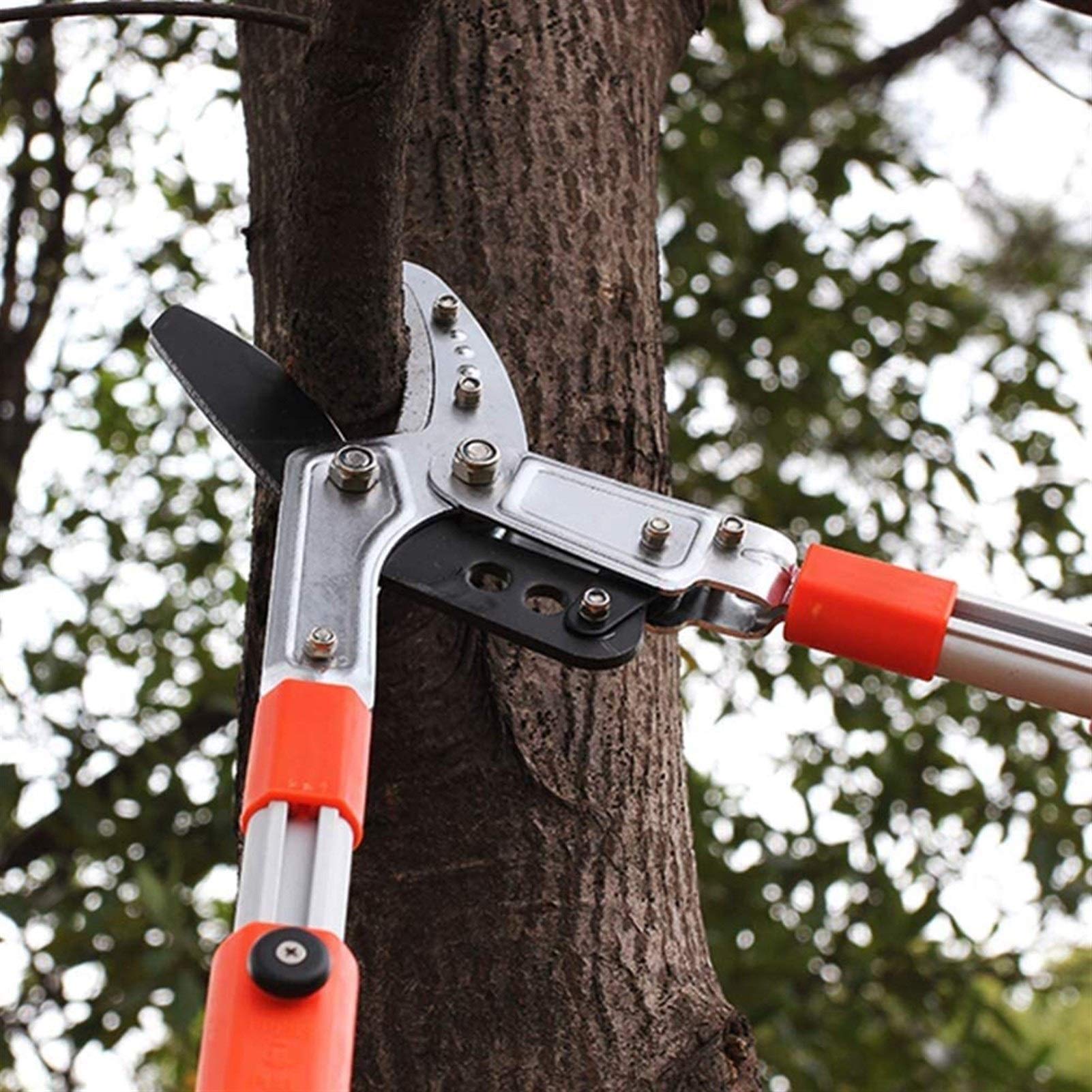 Cesoie da Giardinaggio Cesoie da potatura a Incudine telescopiche, cesoie per Alberi da frutto per Tagliare Rami Spessi, impugnature comode ()
