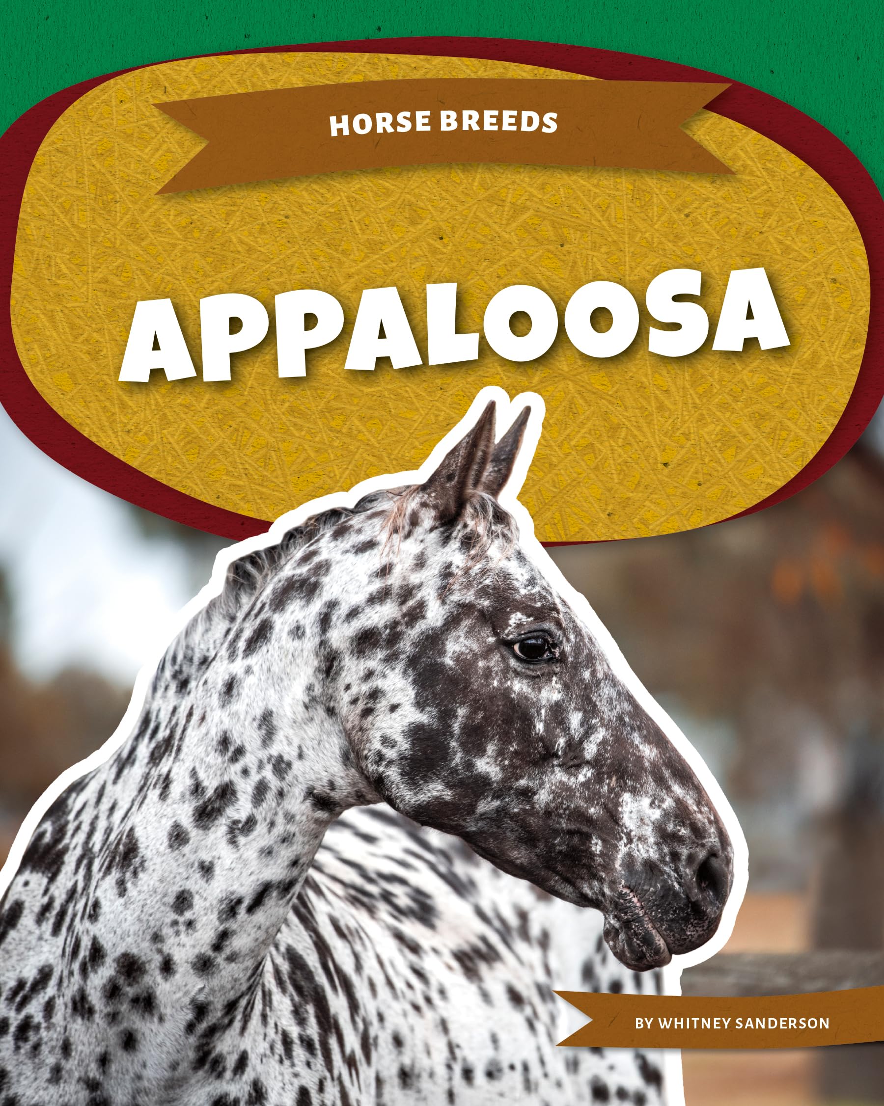 Appaloosa (Horse Breeds)
