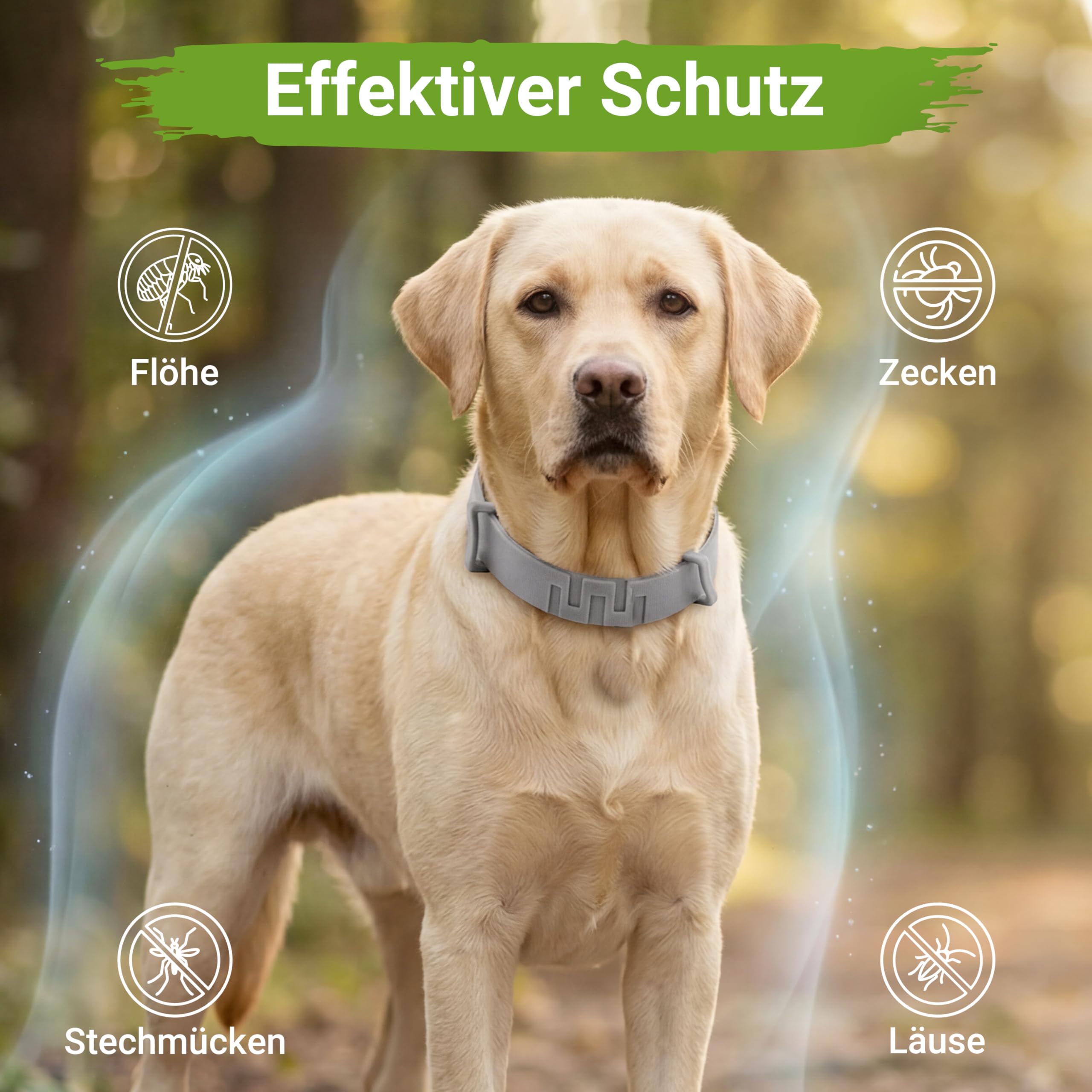 MC-Royal®Pro Zeckenhalsband für Hunde - 100% natürliche Inhaltsstoffe - bis zu 8 Monate zuverlässiger Zeckenschutz