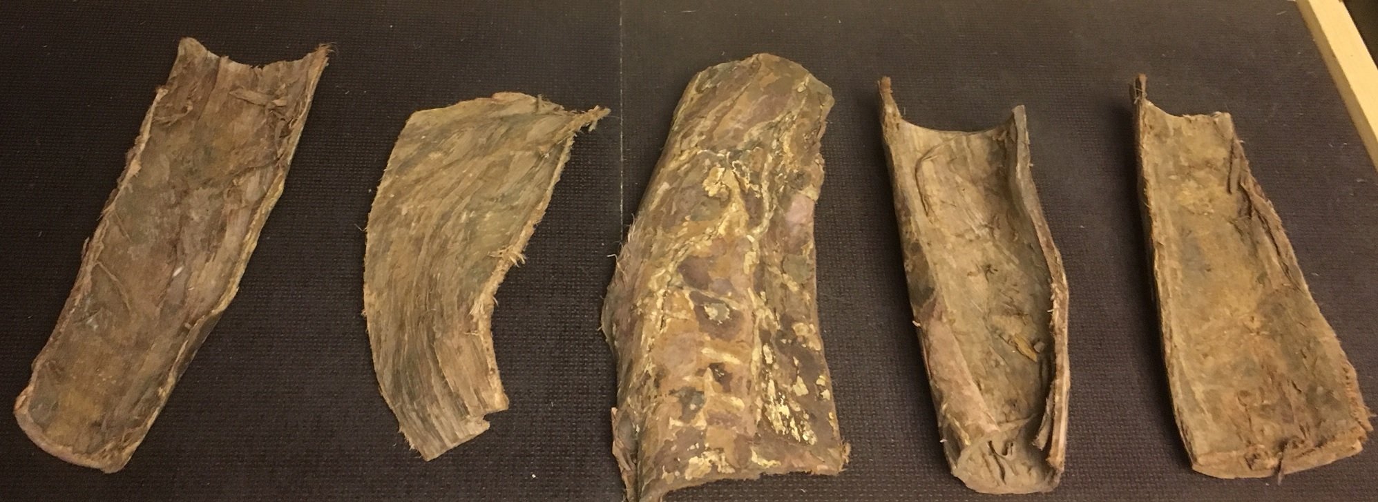 Schwere Rindenstücke der Wunderwaffe Seemandelbaum für Kenner (mindestens 200gr = 2-3 Stücke) Deko Aquarium, Wasseraufbereiter, Catappa Bark