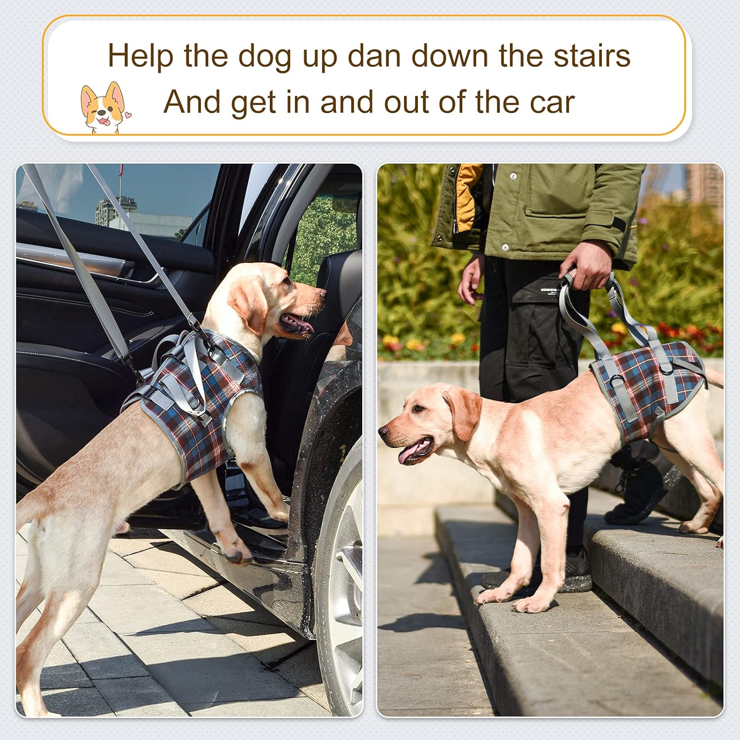 Dog Lift Harness with Handle for Front Legs, Portable Pet Support Rehabilitation Sling Lift Vest Adjustable Straps Support for Old, Disabled, Joint Injuries, Arthritis, Paralysis Walk (Blue M)