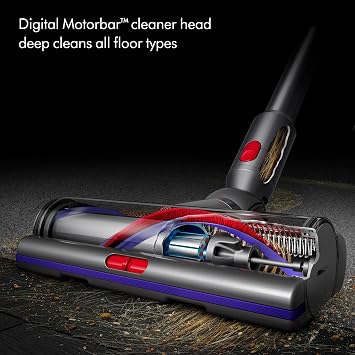 Dyson V15 Detect Pro Cordless Vacuum Cleaner