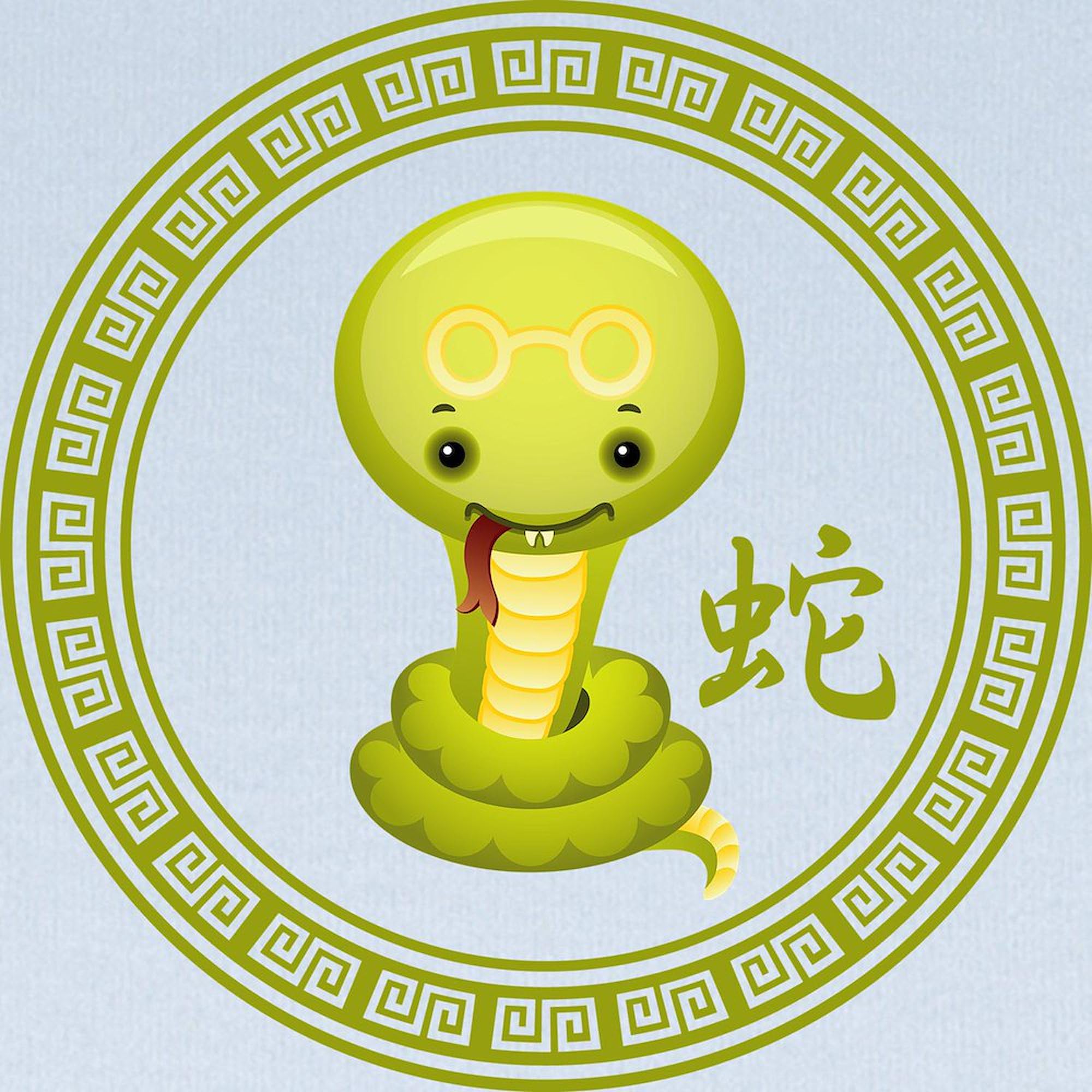 CafePress Cute Chinese Year of The Snake Baby Blanket, Super Soft Newborn Swaddle