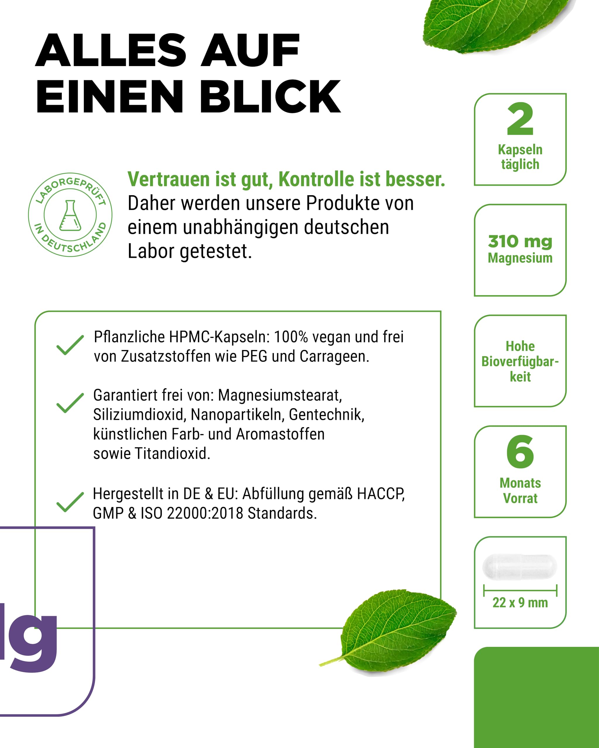 Vit4ever Magnesium Bisglycinat 365 Kapseln + Zink Bisglycinat 25 mg 400 Tabletten – Vegan – Laborgeprüft – Mineralstoff Bundle