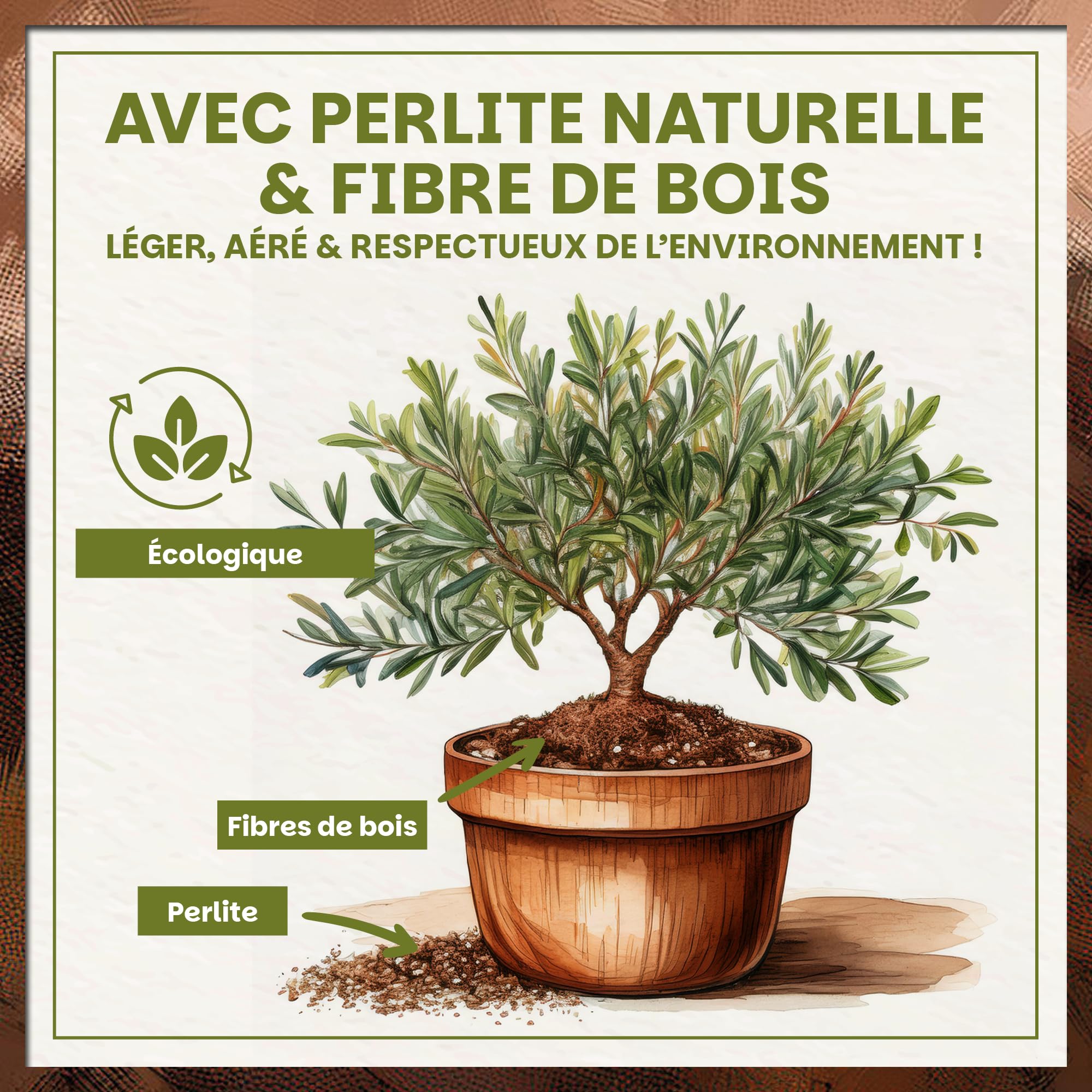 Green Home Terre pour Olivier & Laurier-Rose 36L – Terreau Premium pour Plantes Méditerranéennes | Engrais à Libération Lente | Perlite, Fibre de Coco & Humus | pour Pots, Bacs & Jardin, pH 5.9