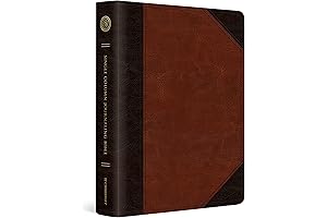 Crossway ESV Single Column Journaling Bible