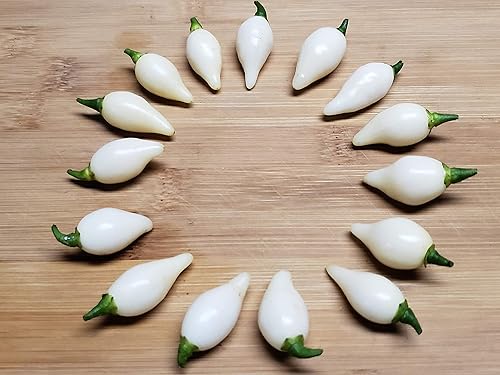 Miniatura 2 de Biquinho Pimienta Blanca 10+ Semillas