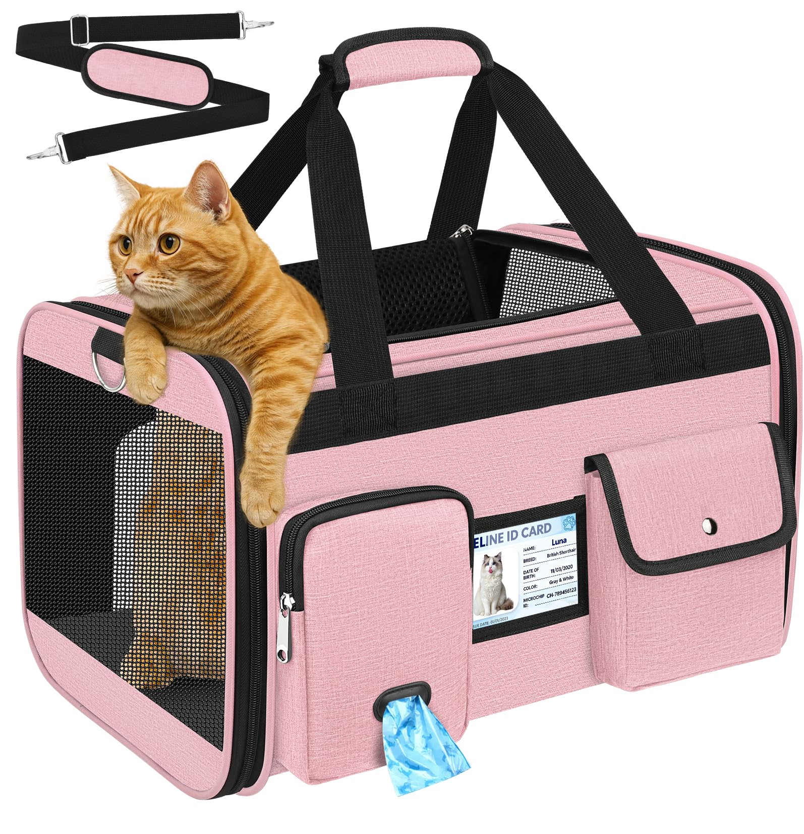 HUANLANG Soft-Sided Cat Carrier Airline Approved,Dog Carriers for Small Dogs Medium Cats,Pet Travel Carrier Up to 20 Lbs,Collapsible Cat Bag