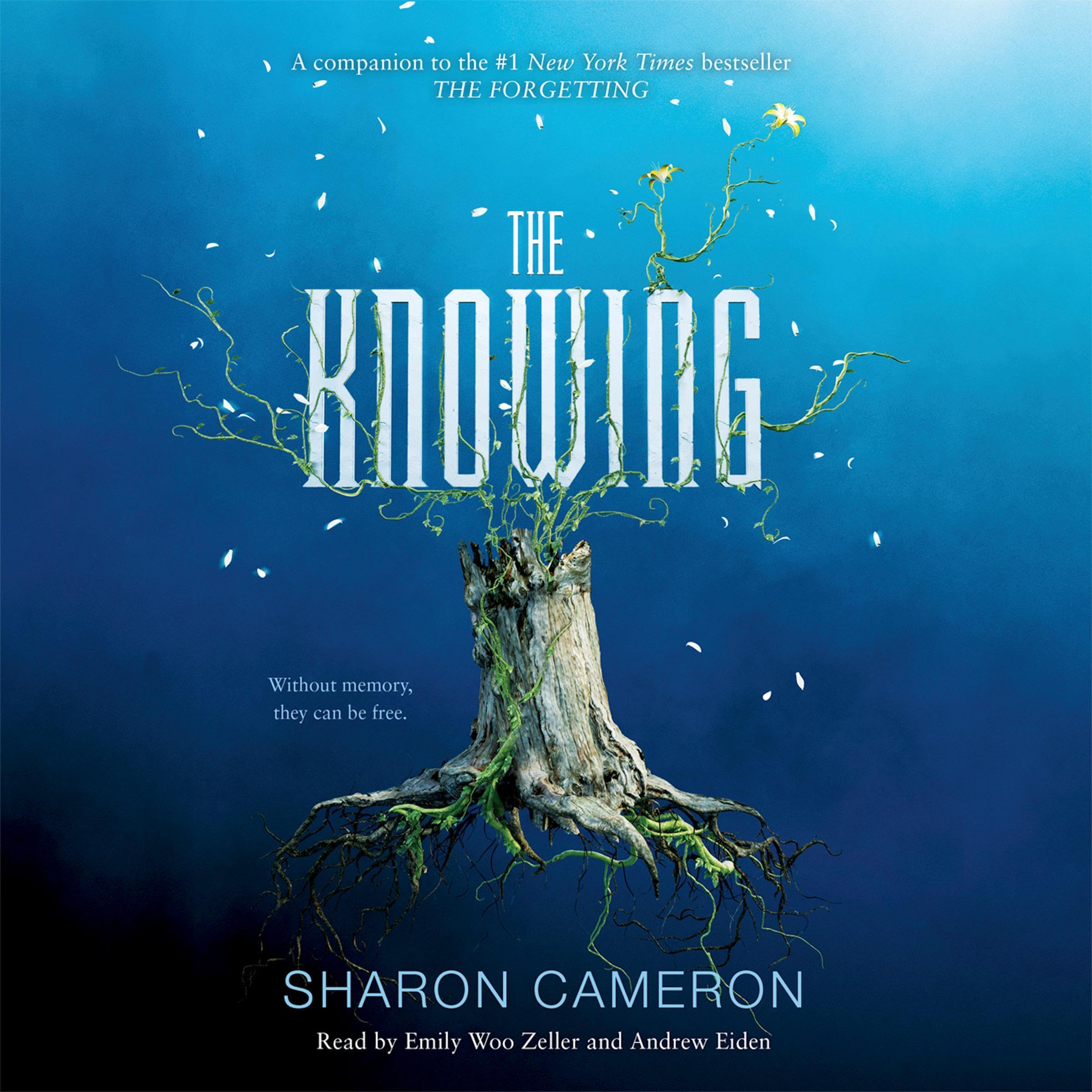 Cover art for The Knowing
