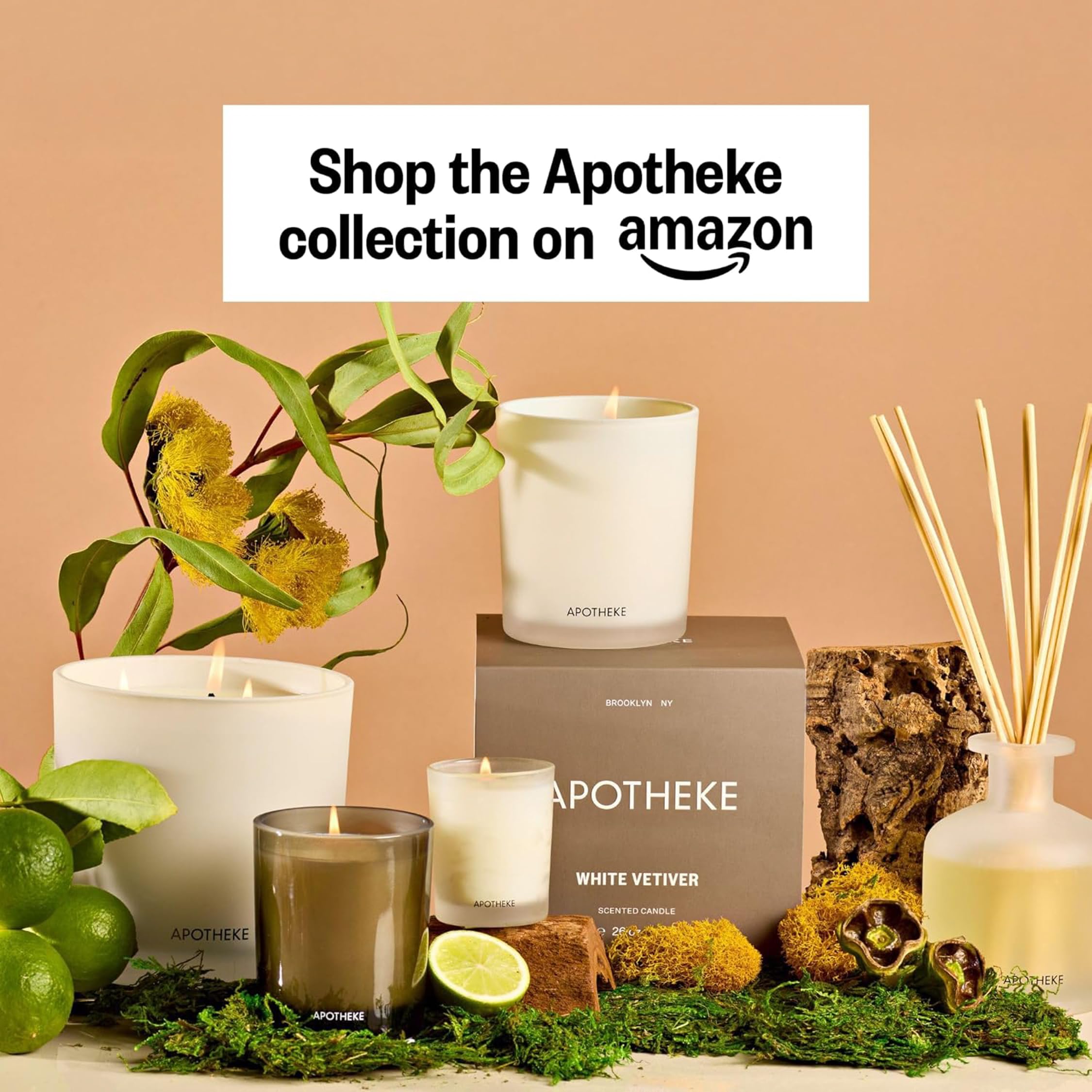 Apotheke Difusor de varillas de aceite perfumado de lujo para el hogar (vetiver blanco), juego de difusor de fragancia para el hogar con varillas