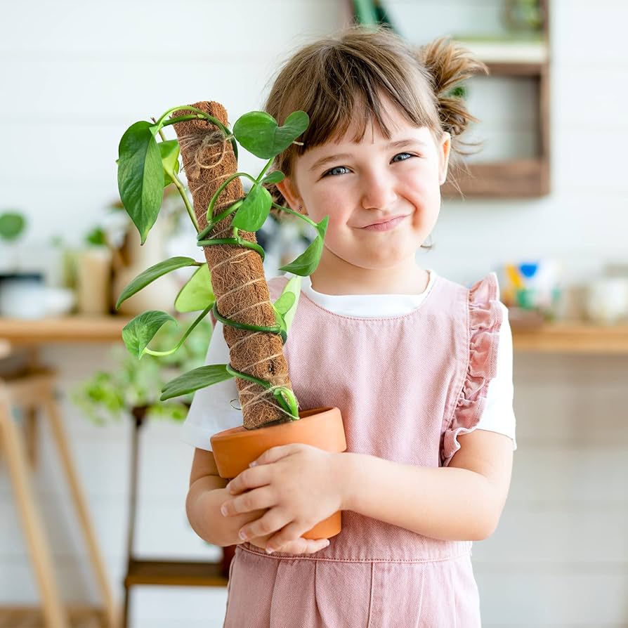 Moss Pole for Plants Monstera, 52 Inch Moss Pole, Fusisi