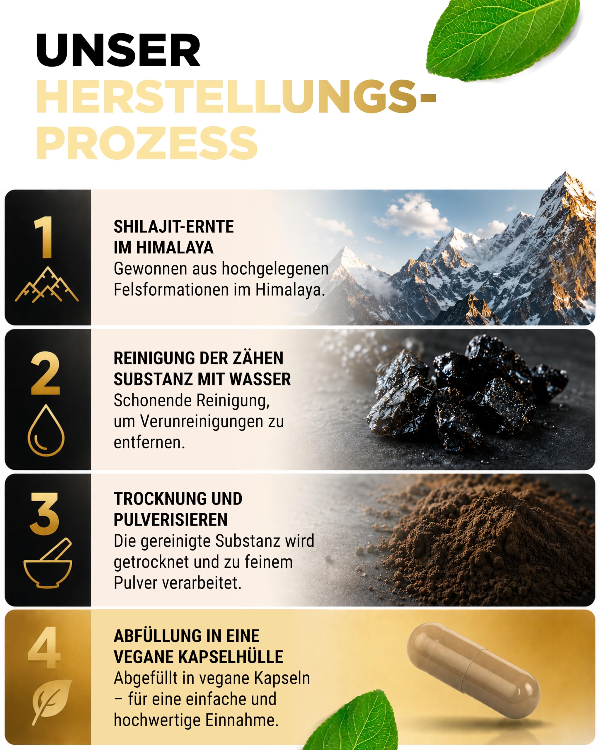 vit4ever Mumijo Shilajit - 180 Kapseln - 10:1-1400 mg - 10:1 Extrakt | 1400 mg pro Tagesdosis, hochdosiert, Original Himalaya 10:1 Extrakt, ohne unnötige Zusätze, vegan