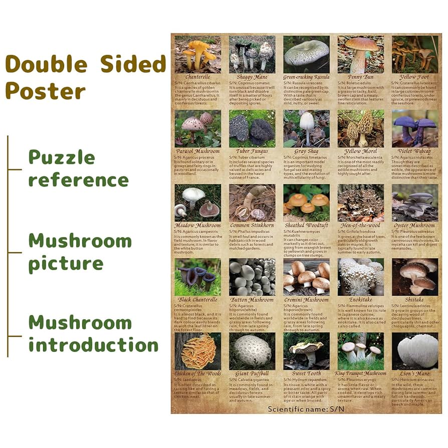 Amazon.com: Vintage Mushroom Puzzle 1000 Pieces for Adult
