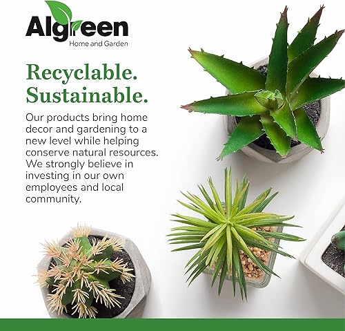 Miniatura 10 de Algreen Acerra - Maceta de compuesto resistente a la intemperie