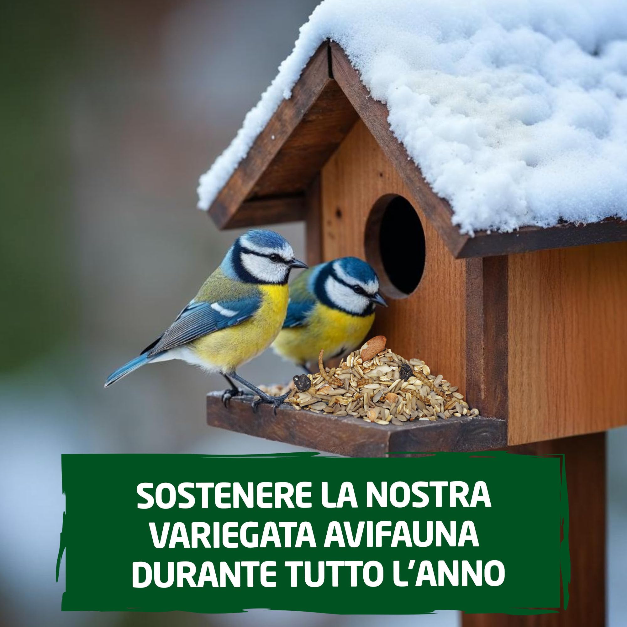 Eggersmann volaris Grani da terrazza con insetti, 10 kg, senza guscio, mangime per uccelli selvatici con vermi di farina, semi di girasole, UVM. Mangime per tutto l'anno, ricco di proteine ed energia,
