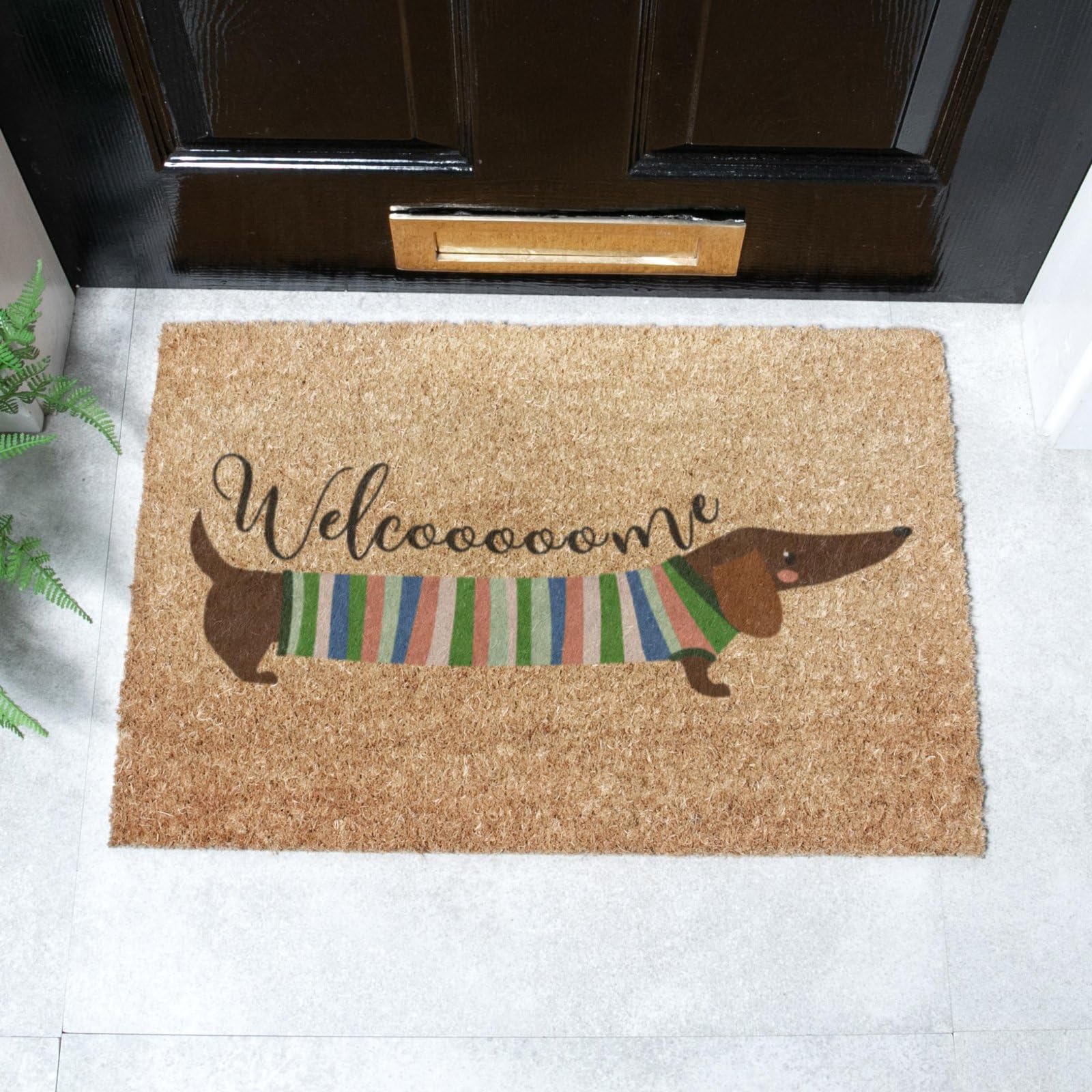 Artsy Mats Welcome Sausage Dog Coir Doormat (60 x 40cm)