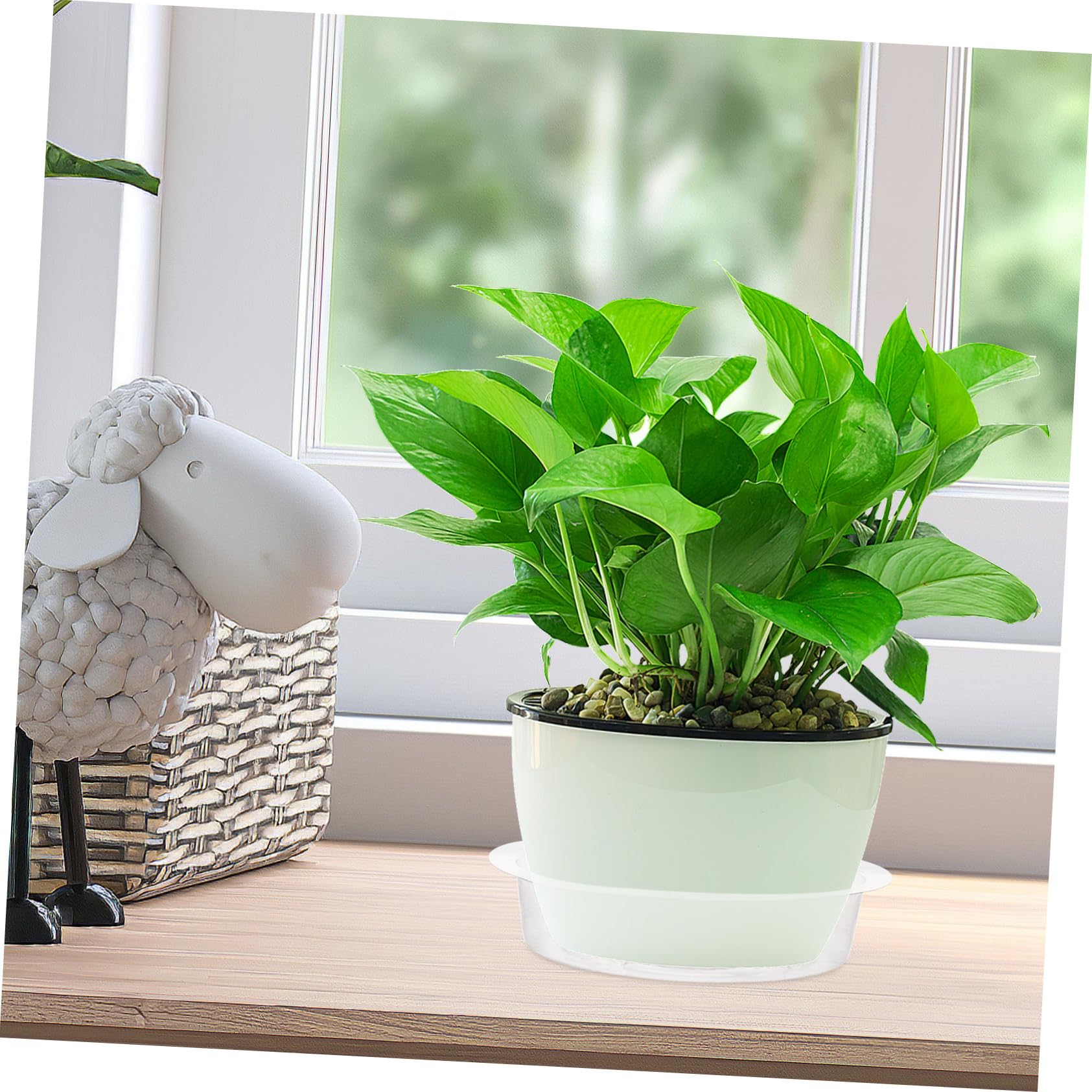 Abaodam 50 Stück Pflanzenuntersetzer Kunststoff Blumentopf Untersetzer für Gartenprojekte zur Verhinderung von Wasserschäden für Dekoration Zuhause