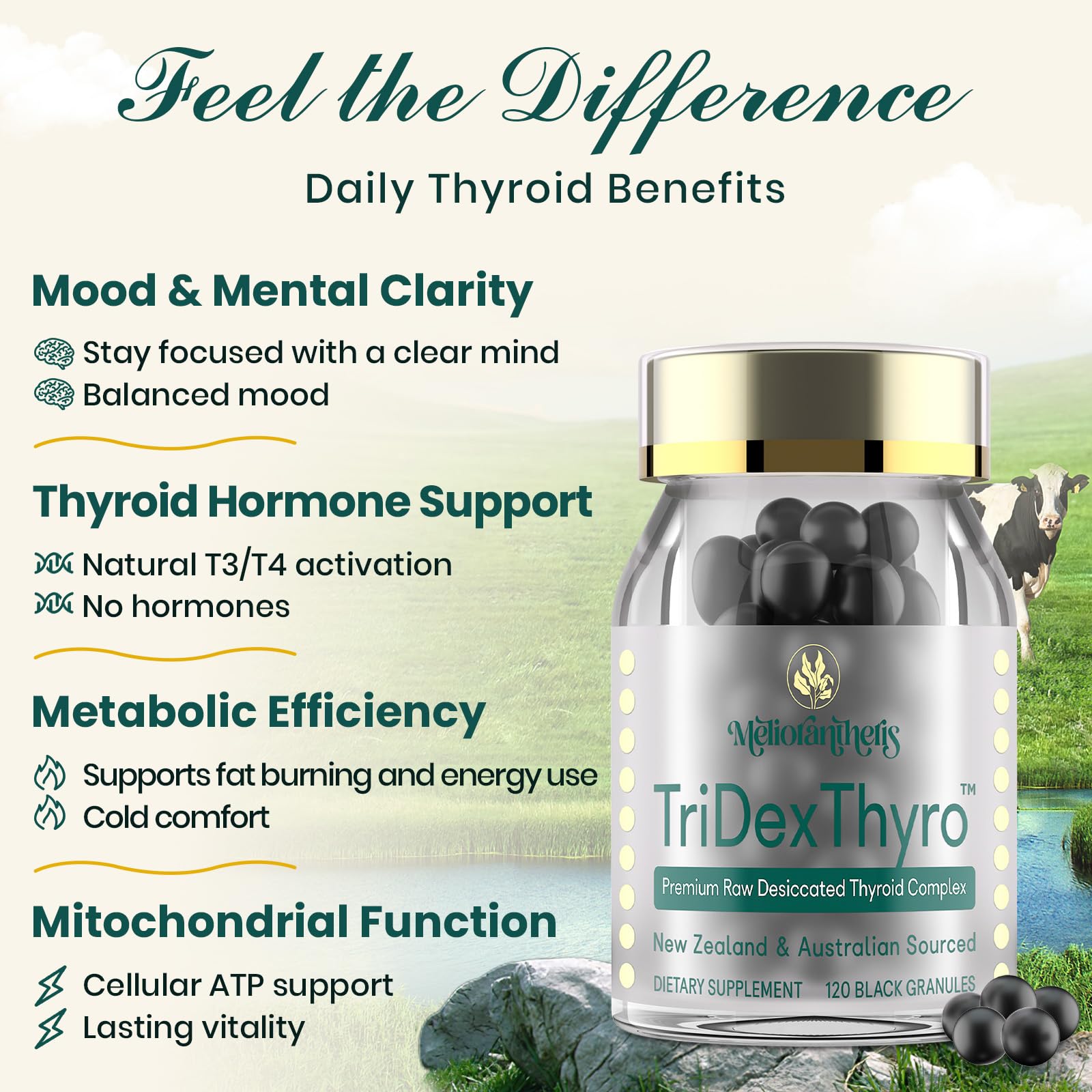 Thyroid Supplement – TriDexThyro™ Raw Desiccated Thyroid Complex 375 mg with Bovine, Porcine & Ovine –120 Capsules for Women and Men(1 Pack) — Amazon image 3