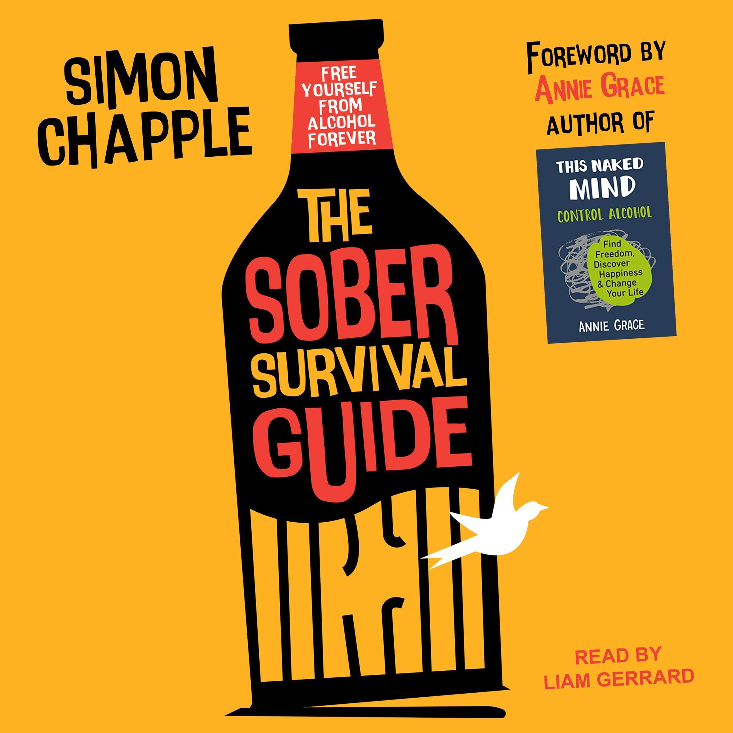 Cover art for The Sober Survival Guide
