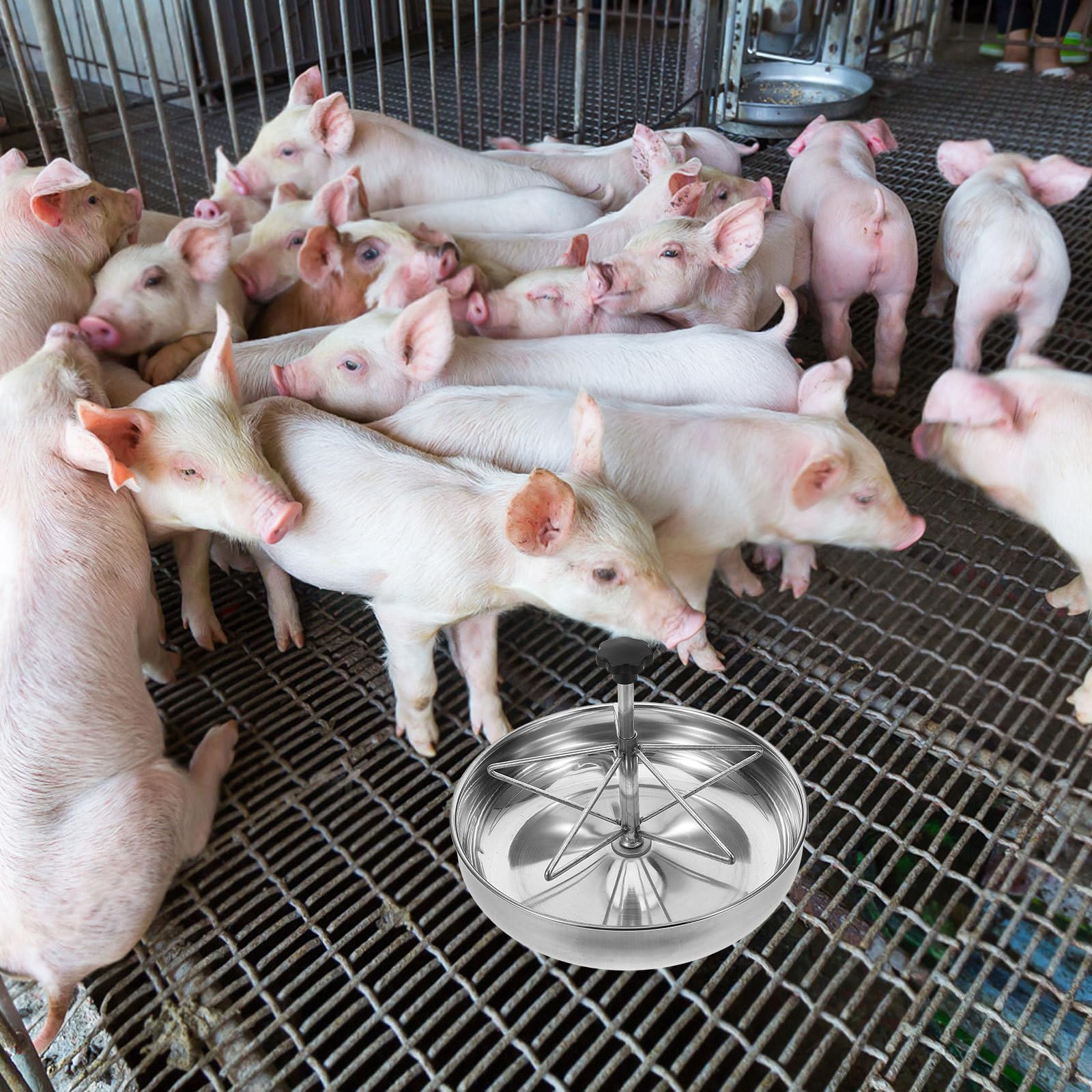 Schweinefuttertrog Praktischer Schweinefutterautomat mit Großer Kapazität Edelstahl Leicht zu Reinigen und Fester Konstruktion Geeignet für Drinnen und Draußen