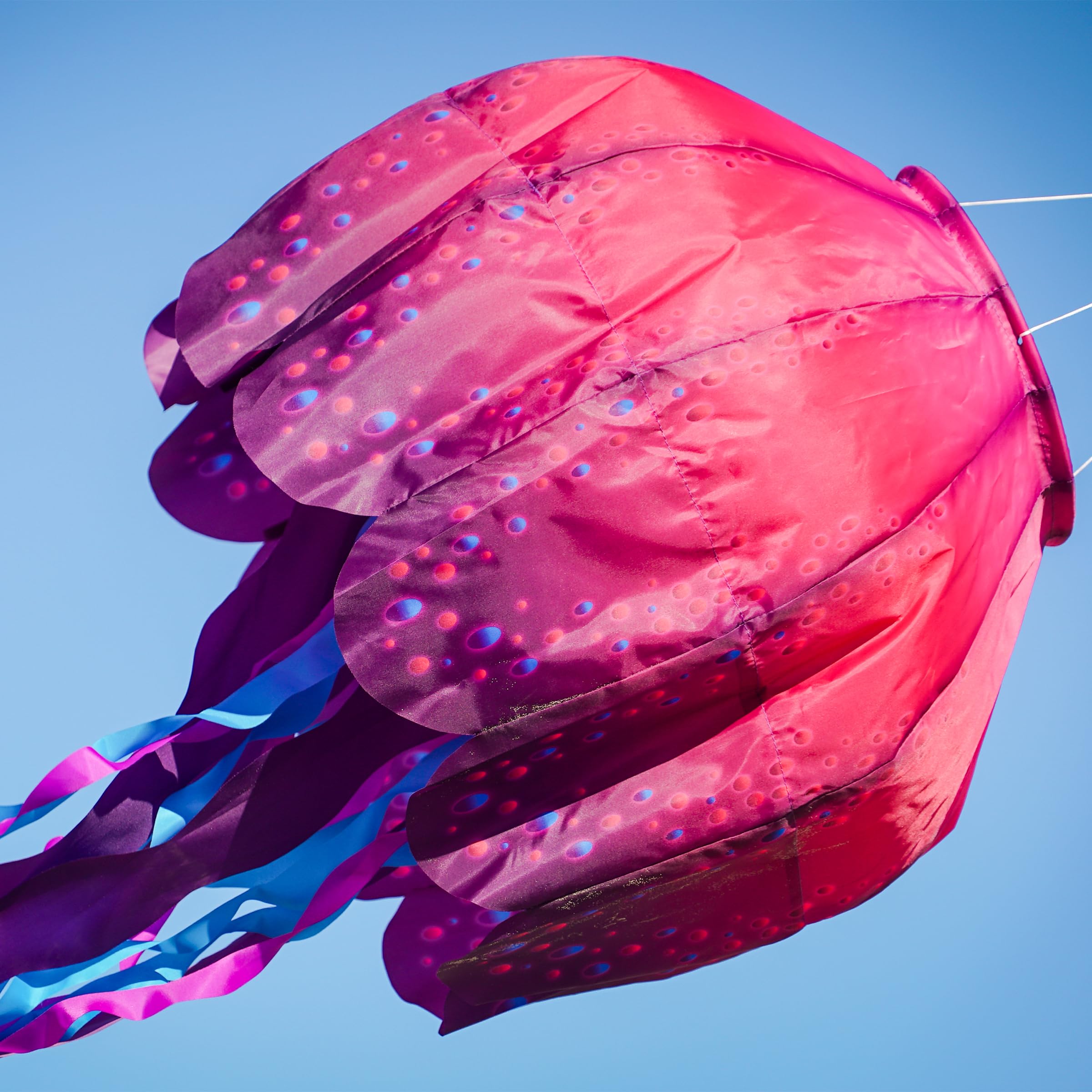 In the Breeze 5232 – Quallen Big Breeze Windsack™ – Großer 3D-Strandwindsack für Höfe, Gärten, Terrassen