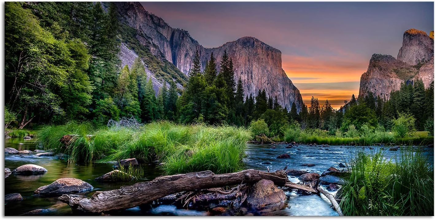 LyerArtork Yosemite Valley National Park Canvas Wall Art American Nature View Painting Prints Modern Landscape Artwork Home Wall Decor Framed Gallery Wrapped Ready to Hang 20x40inch
