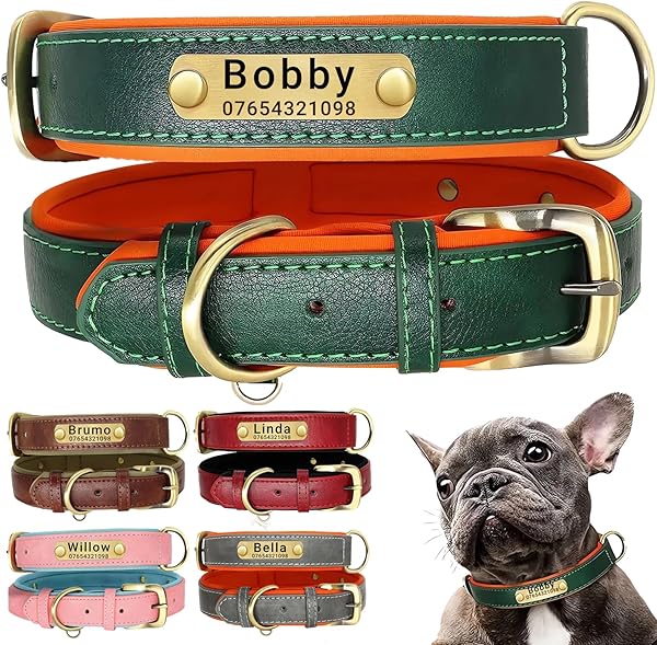 SEOUGEE Genuine Leather Dog Collar Personalised, Soft Padded Leather Dog Collars Heavy Duty with Custom Engraved Name Plate Adjustable for Small Medium Large Dogs (L, Green 35-45cm) - 1
