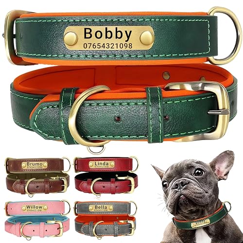 SEOUGEE Collar de cuero genuino para perro, personalizado, suave y acolchado, resistente