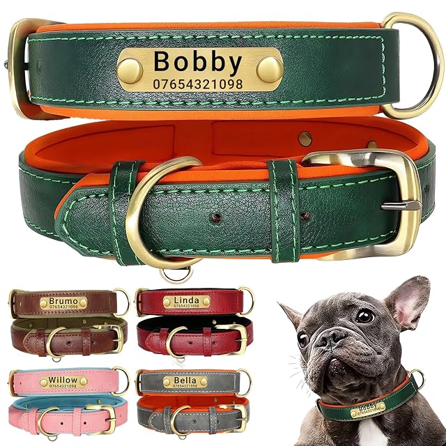 SEOUGEE Collar de cuero genuino para perro, personalizado, suave y acolchado, resistente