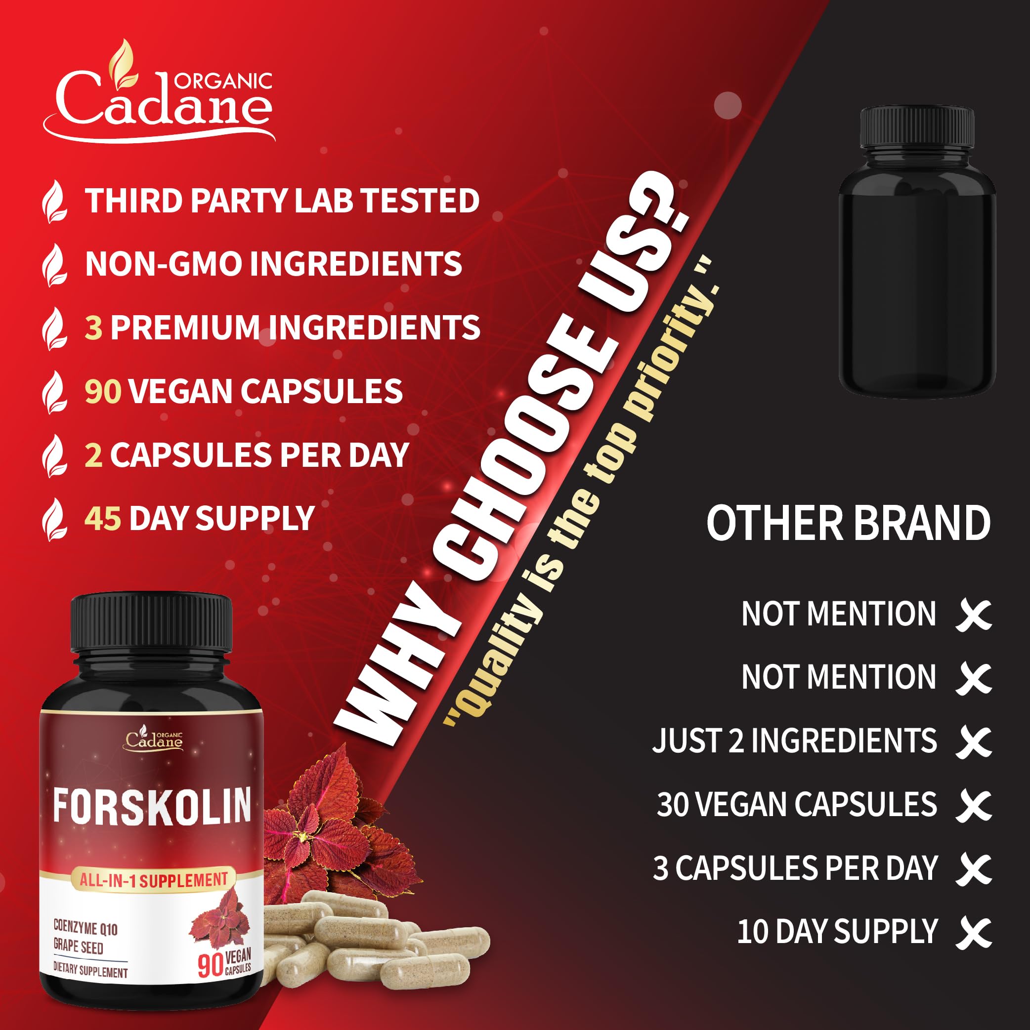 Cadane Forskolin Supplement with Coenzyme Q10 & Grape Seed Extract | Supports Body Management & Energy | Vegan, Non-GMO – 90 Capsules – 45-Day Supply — Amazon image 6