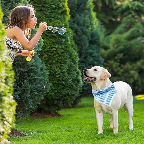 Miniatura 4 de Bobo Rainbow Bandana para perro  1 bandana de regalo de cumpleaños para perro, bufanda de verano para perro hembra o macho, accesorios ajustables
