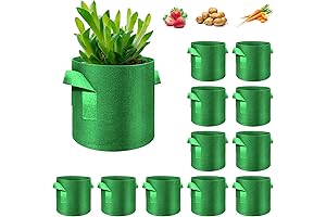 12-Pack 5-Gallon Green Plant Grow Bags for Vibrant Homegrown Greens and Vegetables