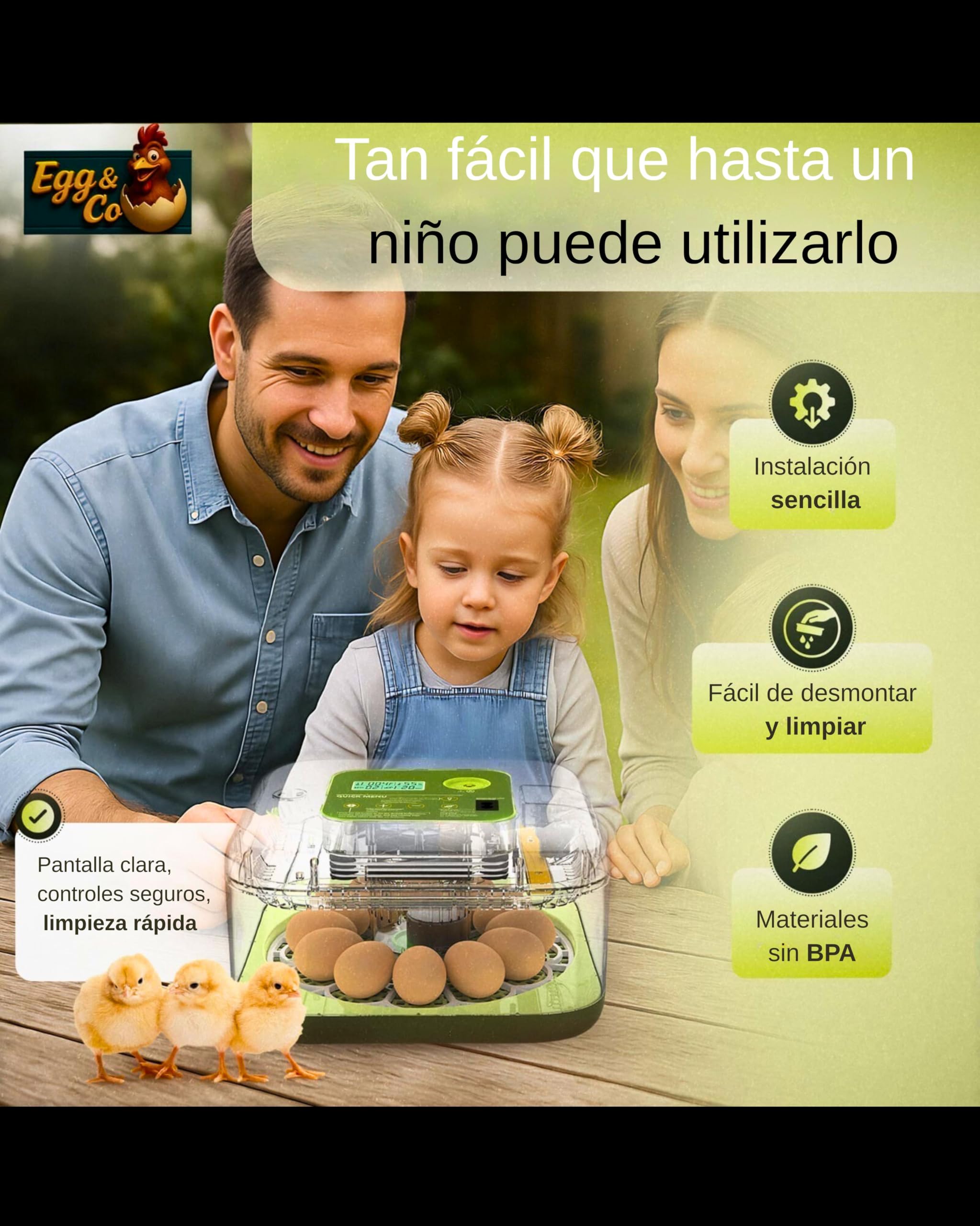 Egg&Co Start 12 – Incubadora automática 12 huevos gallina (36 codorniz). Control preciso de humedad, volteo automático, botella y ovoscopio incluidos. Ideal para principiantes y expertos.