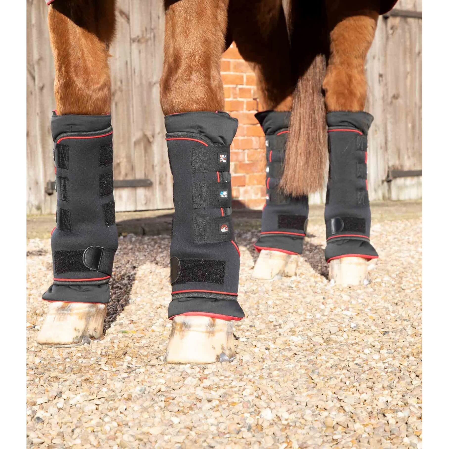 Premier-equine