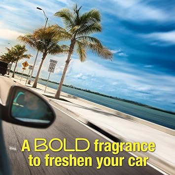 California Scents CCS-007 Air Freshener Cherry Scent, Coronado Cherry, 12 Units