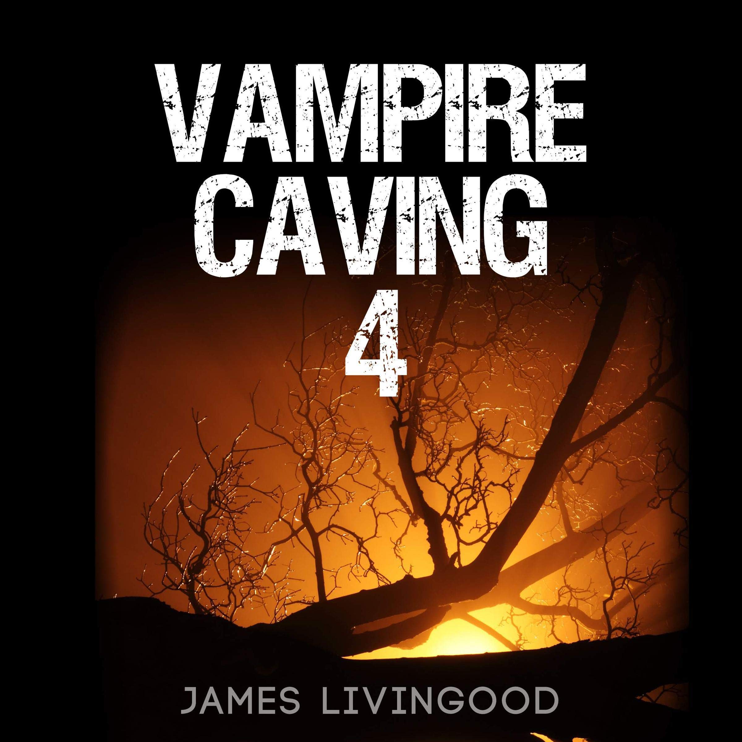 Cover art for Vampire Caving 4